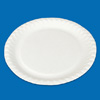 paper plate
